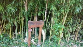 Gîtes & Spa de charme " Ploum" - Pouydesseaux - 1