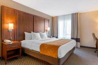 Comfort Suites South Haven near I-96 - South Haven - 5