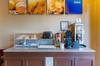 Comfort Suites South Haven near I-96 - 7