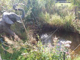 Roulotte de luxe vue mer 180° ,et un ha de verdure - Plougastel-Daoulas - 8