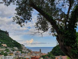 Hotel Villa Annalara charme and Relax - Amalfi - 5