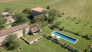 Maison Le Sèpe - Vignoble Bio et Maison d'hôtes - 8