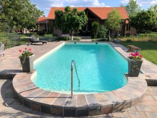 Patrimonium Wellness Apartments - Tiszaszentimre - 7