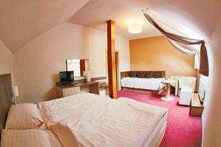 Hotel Koruna - Karlštejn - 8