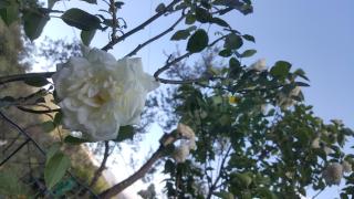 Rifugio Valentina - 2