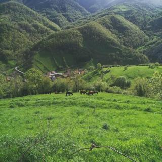 APARTAMENTOS RURALES EL PRIVILEGIO - 5