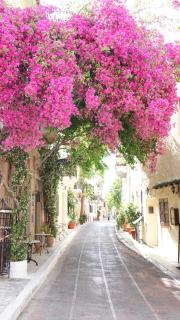 Athenian House in Plaka Villa by Athenian Homes - 8