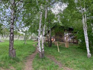 Trees House Parang - Petroşani - 8