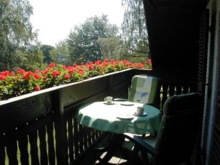Haus am Wald - Urlaub am Nationalpark - 5