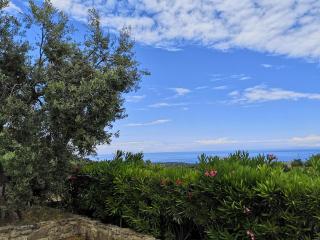 Agriturismo Catena - Cirò - 4