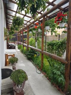 Casa Farcaș Bușteni - Buşteni - 5
