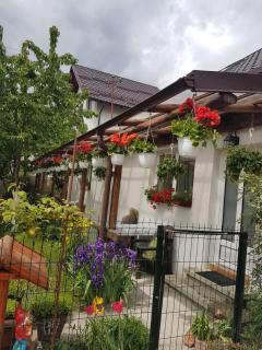 Casa Farcaș Bușteni - Buşteni - 6