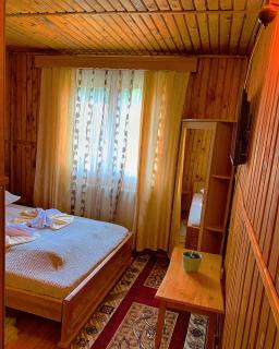 Casa Andu - Dâmbovicioara - 4