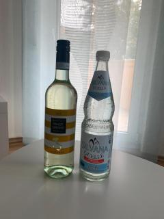 Apartment Saxonia - Pirna - 6