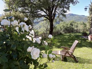 Villa Galearpe with private pool in Tuscany - 4