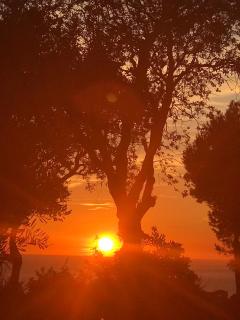 La Bastide Belle Vue - Six-Fours-les-Plages - 1