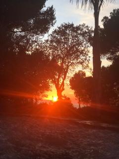 La Bastide Belle Vue - Six-Fours-les-Plages - 2