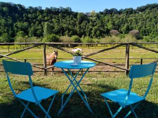 Tenuta calidarius - 1