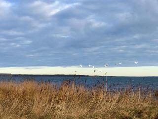 eilandR Am Ufer 8 & Am Ufer 14 - Vaschvitz - 7
