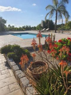 Lasa Valley Villa - 2
