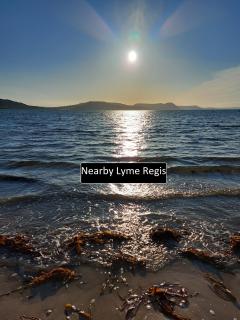 Studio Near Lyme Regis, Dog Friendly, Self Catering, Small Garden, Free Private Parking" - 9