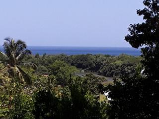Villa et Gites Le Safran - Le Triskell - Deshaies - 8