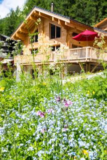 Chalet PapaGna - Zinal - 9