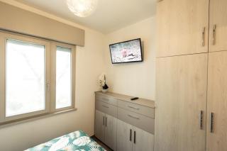 Cattleya - Grado - 3