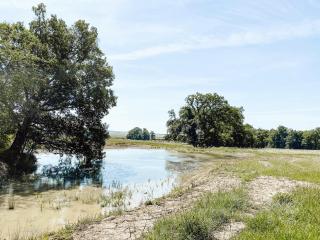 Le Val Suzenay - Vendeuvre-sur-Barse - 4