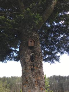 Casale dell'Arvo - 7