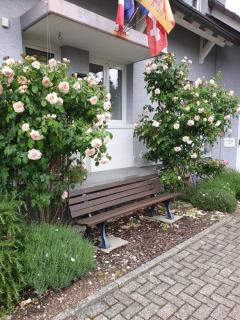 Pension Boitz - Rust - 7