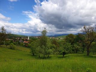 Pensiunea Padina - Bran - 4