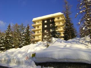 Monte Verde - Valberg - 3
