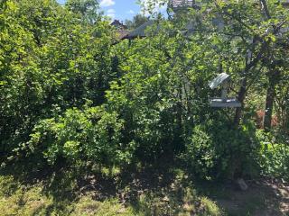 Apartamenty Parkowa - Koszalin - 3