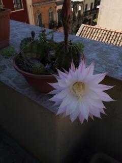 B&B antica città - 2