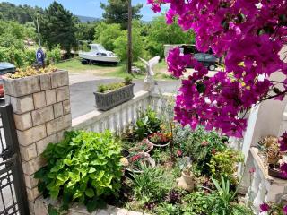 Apartmani Tamara - Tivat - 5