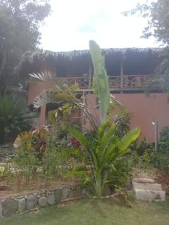 La Casa Del Arbol - Las Galeras - 8