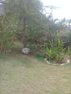 La Casa Del Arbol - Las Galeras - 9