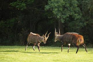 First Group Magalies Park - Hartbeespoort - 2