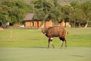 First Group Magalies Park - Hartbeespoort - 3