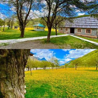 Peraj Guesthouse - Vermosh - 2
