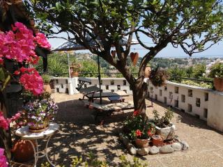Chambres d'hôtes Les Terrasses du Soleil - Cagnes-sur-Mer - 9