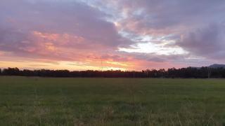 Landor Stud Farm Cottage - 1