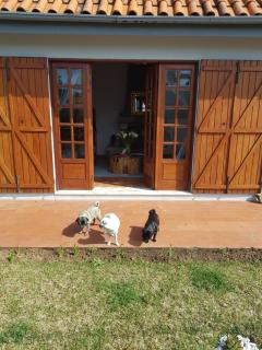 Beachwalk guesthouse - Esmoriz - 3