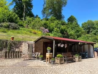 Hotel Pension Gelpkes Mühle - Bad Sachsa - 4