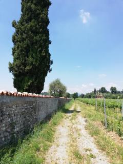 Franciacorta flat & bollicine - Passirano - 3