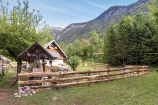 Lizina hiška House Bohinj - Bohinjska Bistrica - 0