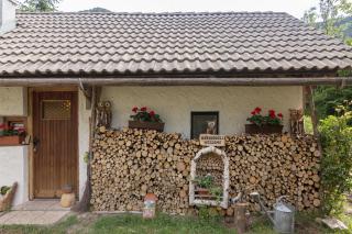 Lizina hiška House Bohinj - Bohinjska Bistrica - 7