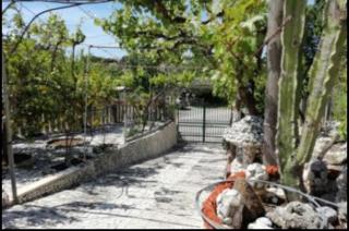 casa dei limoni - Peschici - 1