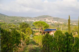 Agriturismo Colle Vento - Suvereto - 5